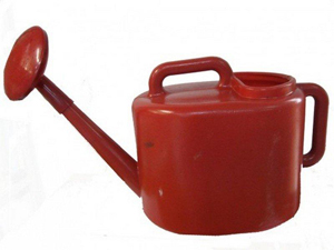 Лейка [10л] [П] [/10]