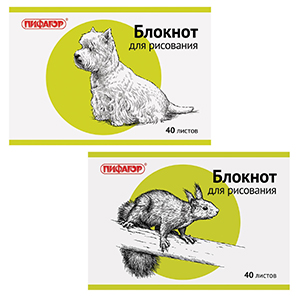 Блокнот для рисования, А4, 40 л., скоба, обложка офсет, горизонтальный, ПИФАГОР, 200х285 мм[104875]*